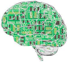 This is an image of a computer circuit board in the shape of a human brain.