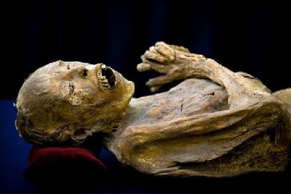 This is a photo of a Mexican mummy of a person lost in the cholera outbreak of the 19th century.