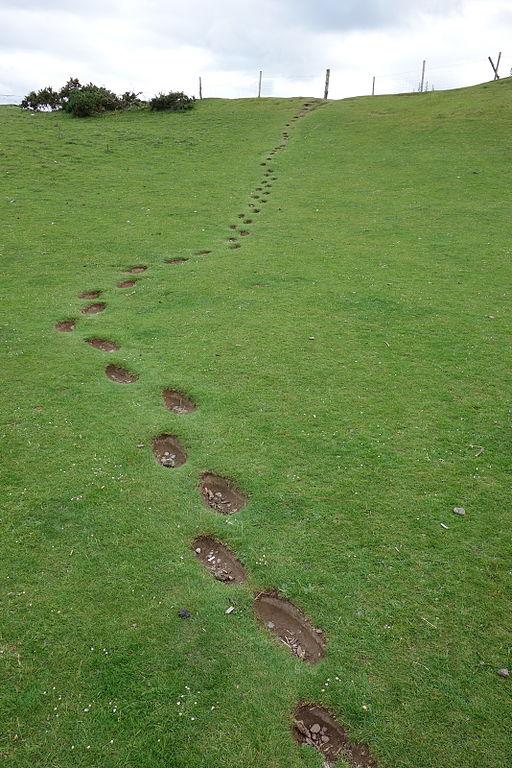 This is a photograph of footsteps going up a hill.